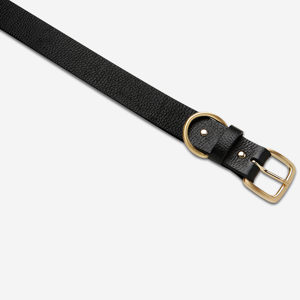 Disarm Women's Black/Gold Leather Belt Status Anxiety®
