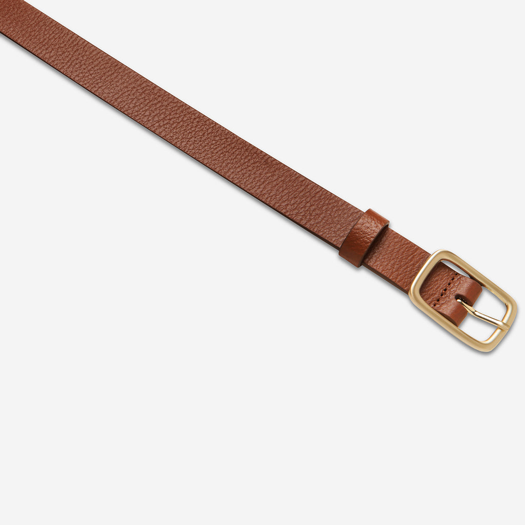 STATUS ANXIETY NOBODY'S FAULT BELT (Black/Silver)