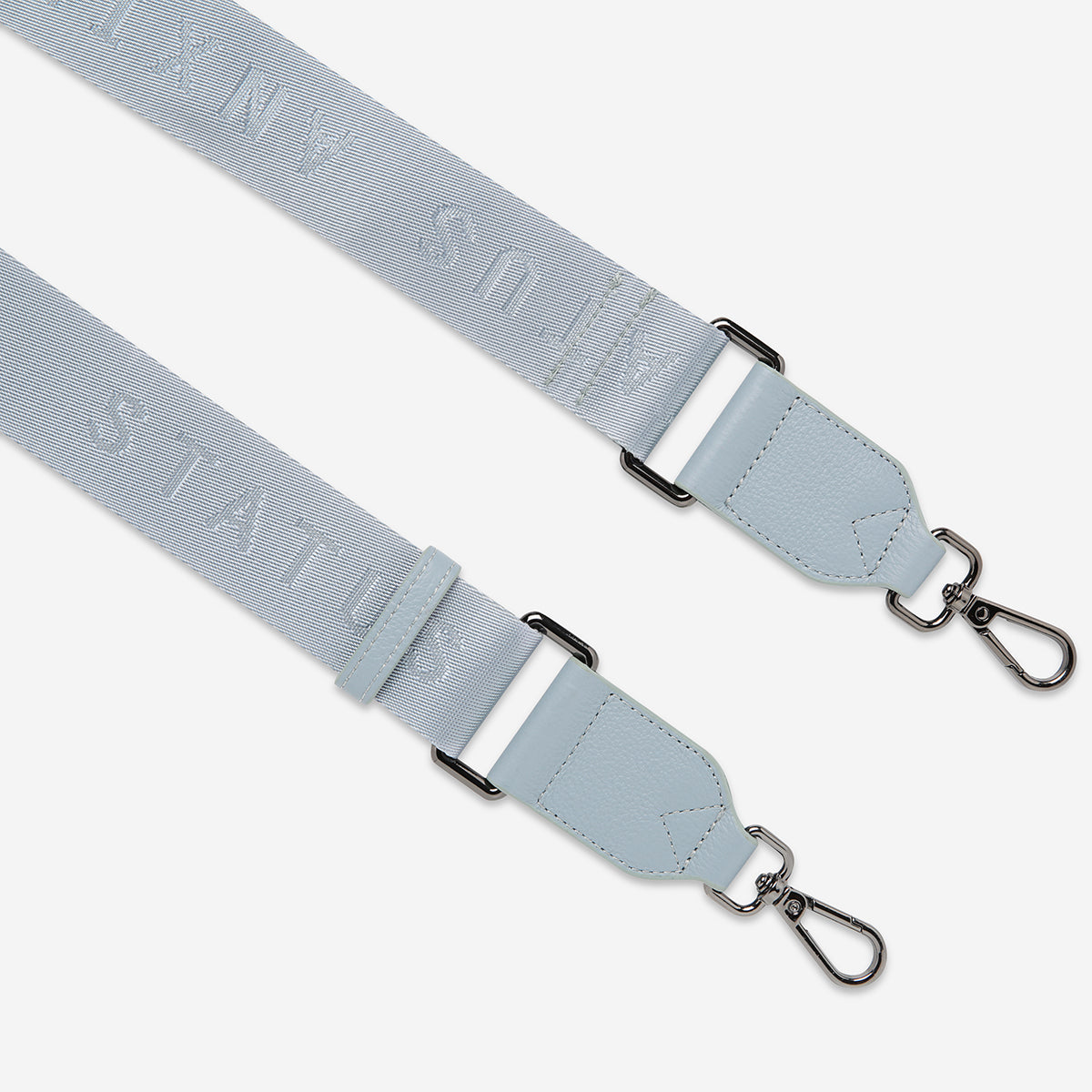 Status Anxiety Powder Blue Web Strap for Bags
