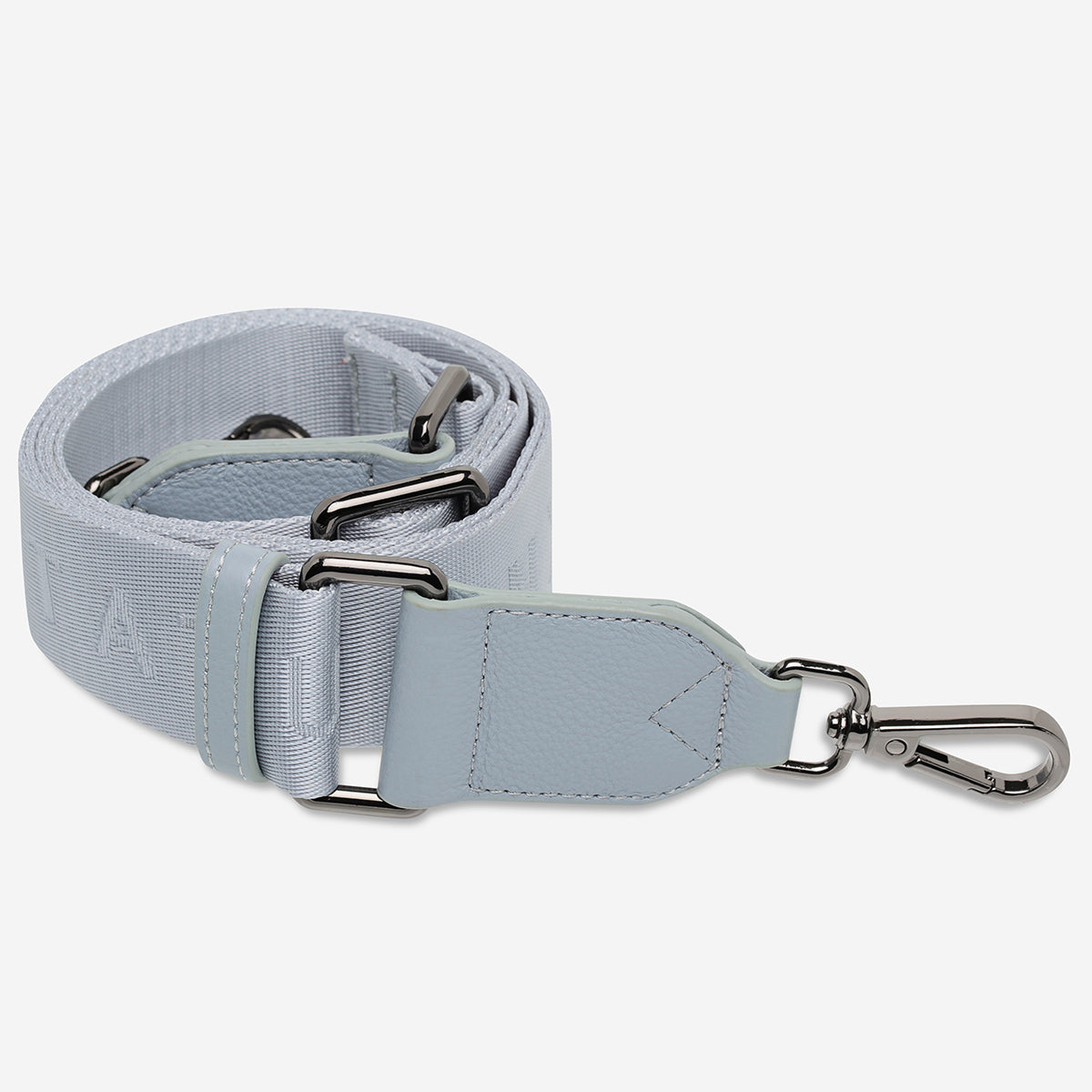 Status Anxiety Powder Blue Web Strap for Bags