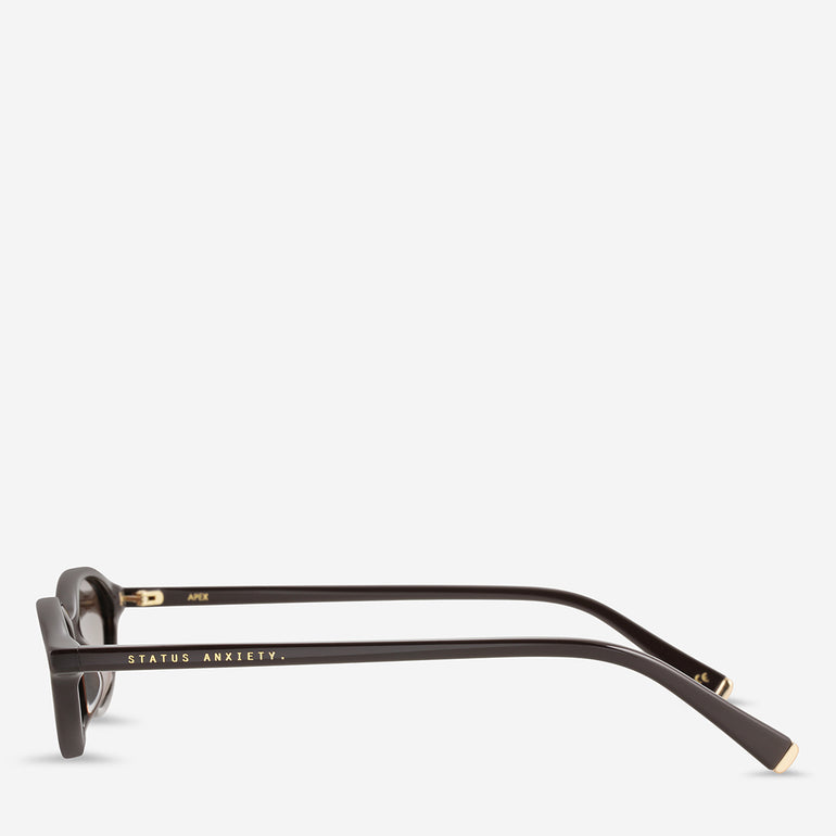 Status Anxiety Apex Sunglasses Espresso