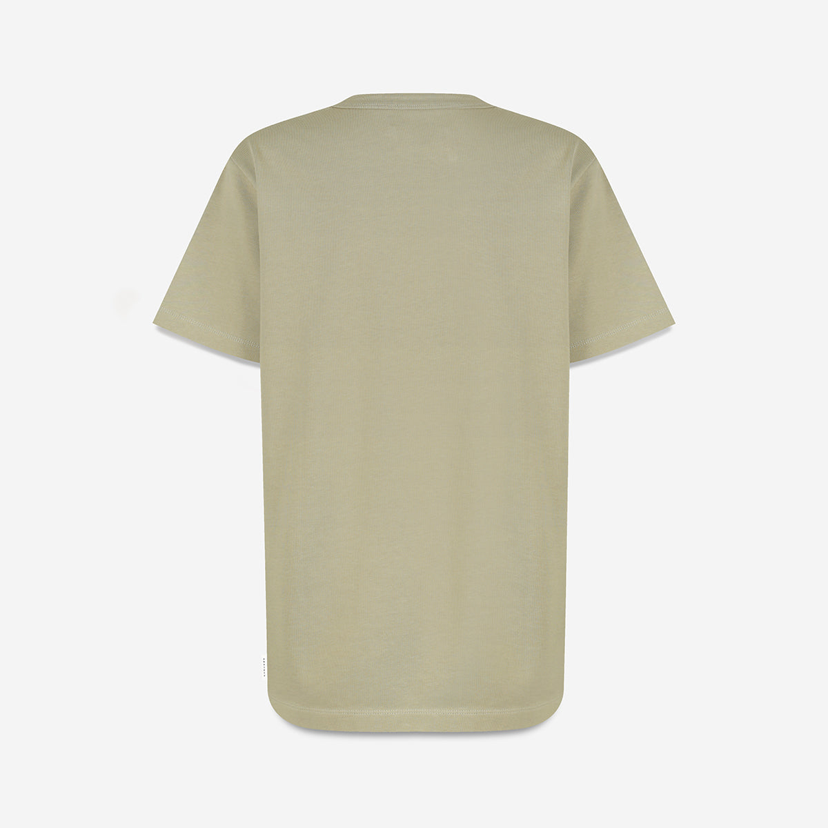 Status Anxiety Feels Right Women's T Shirt Washed Sage
